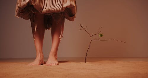 有关乾的, 人, 分公司的免费素材视频