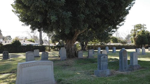 有关墓园, 墓地, 墓碑的免费素材视频