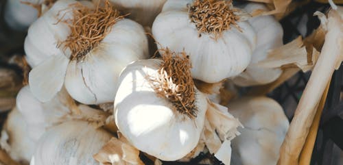 有关健康, 大蒜, 成分的免费素材视频