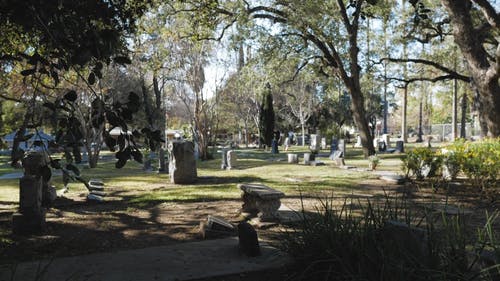 有关墓园, 墓地, 墓石的免费素材视频