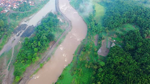 有关天性, 日光, 有雾的免费素材视频