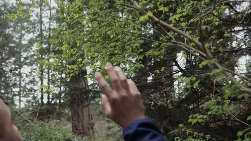 有关人, 天性, 户外的免费素材视频