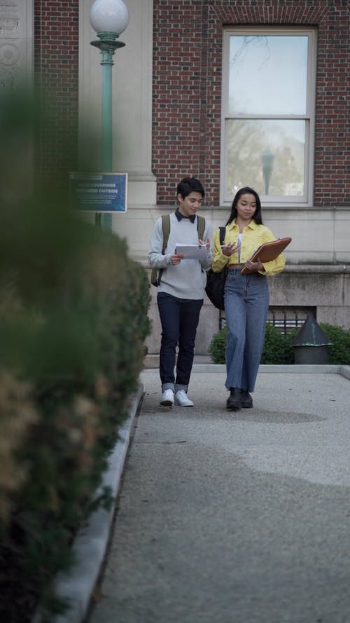 有关垂直视频, 学校, 学生们的免费素材视频