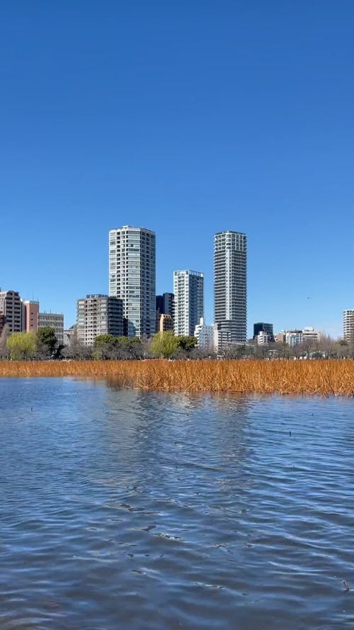 有关垂直视频, 城市, 塔楼的免费素材视频