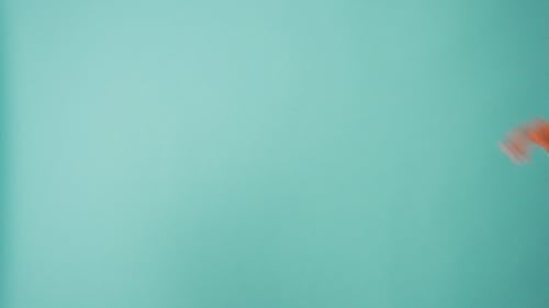 有关兔子耳朵, 困惑, 孩子的免费素材视频