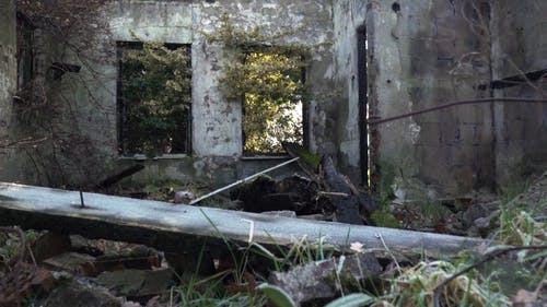 有关天性, 废墟, 废弃的建筑的免费素材视频