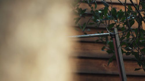 有关原本, 天性, 工厂的免费素材视频