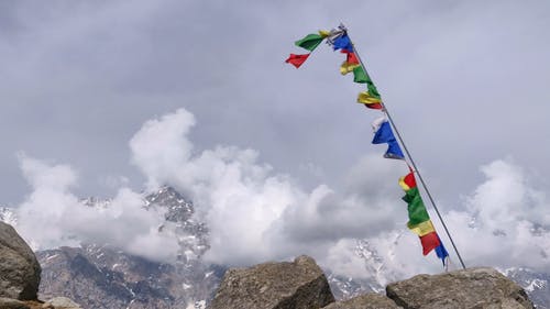 有关不一样, 各种, 多色的的免费素材视频