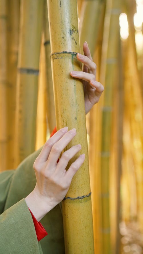 有关@户外, 不露面, 垂直视频的免费素材视频