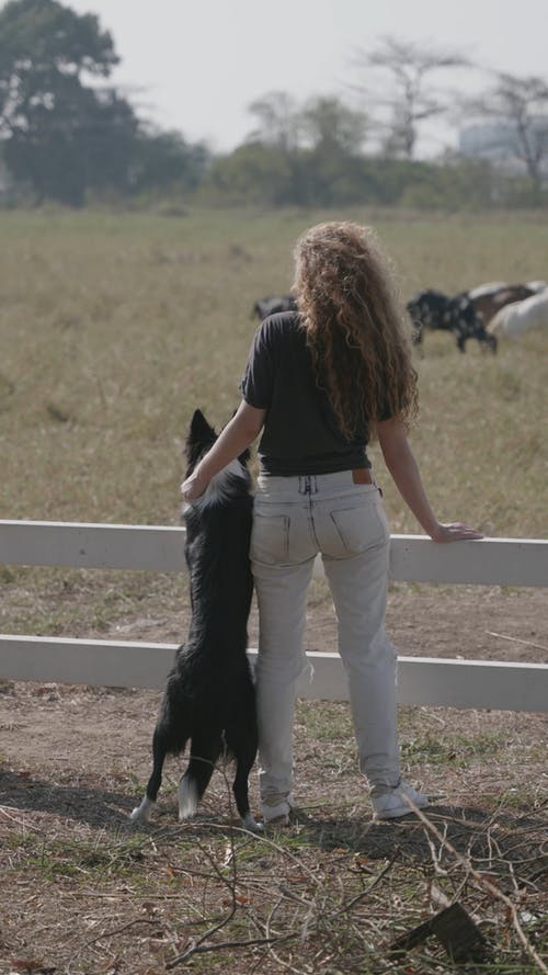 有关动物, 垂直视频, 女人的免费素材视频