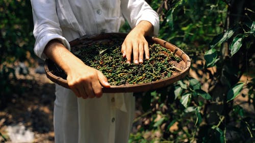 有关下田, 女人, 工作的免费素材视频