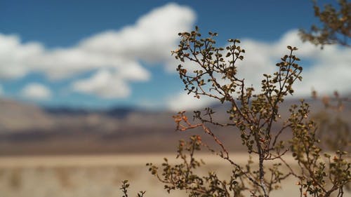 有关@户外, 多云的, 多风的免费素材视频