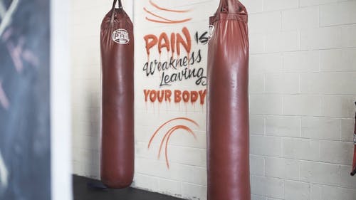 有关健身中心, 健身房, 报价的免费素材视频