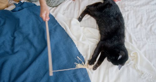 有关一般开销, 儿童玩具, 儿童的免费素材视频