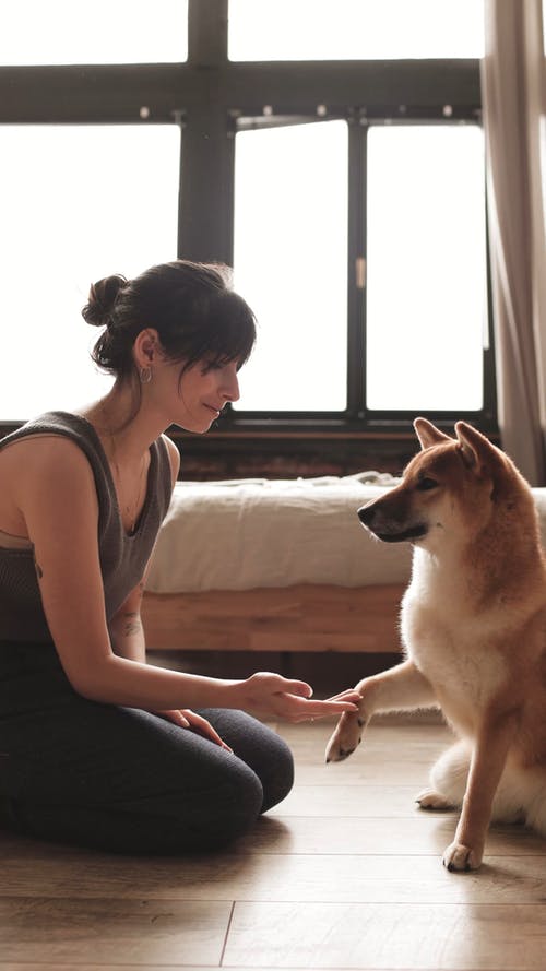 有关呆在家里, 回家时间, 在家的免费素材视频