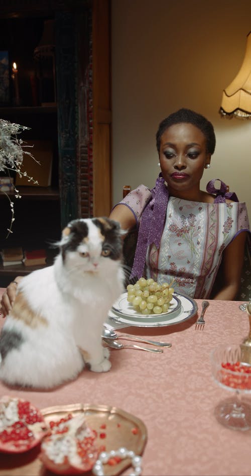 有关facebook的故事, instagram故事, youtube故事的免费素材视频