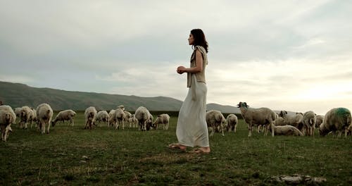 有关吃草, 女人, 步行的免费素材视频