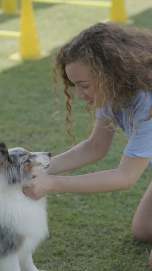 有关@户外, 低角度拍摄, 可爱的免费素材视频