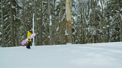 有关人, 冬季, 携带的免费素材视频