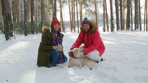 有关一对, 下雪, 人的免费素材视频