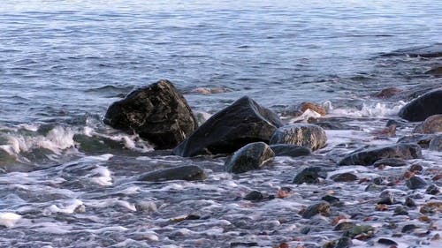 有关天性, 岩石, 岸边的免费素材视频