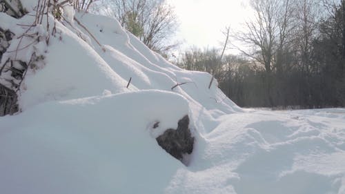 有关冬季, 冷, 冻结的的免费素材视频