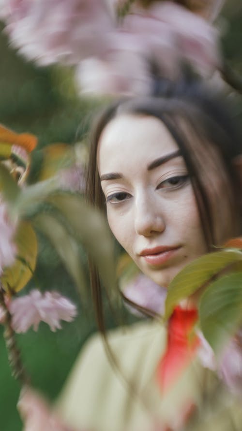 有关休闲, 传统服饰, 化妆的免费素材视频