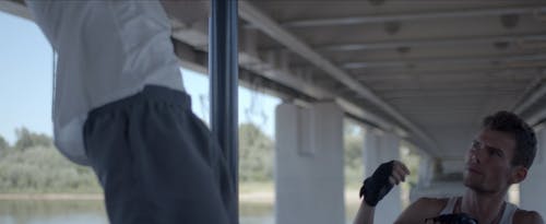 有关健身, 引体向上, 强大的免费素材视频