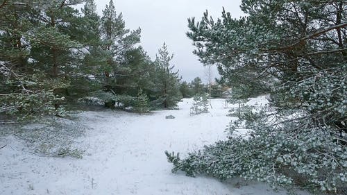 有关下雪的, 冬季, 冰的免费素材视频