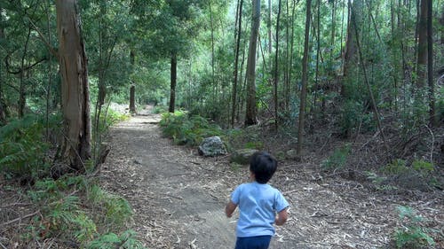 有关儿童, 小孩, 森林的免费素材视频