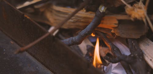 有关升火的木柴, 森林, 火的免费素材视频