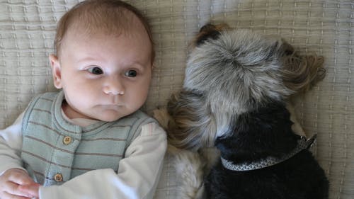 有关儿童, 可爱, 可爱的的免费素材视频