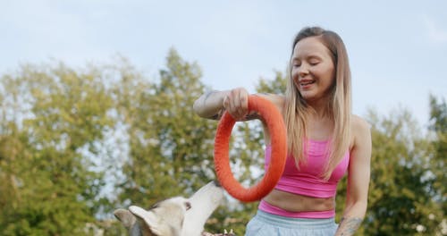 有关伴侣, 低角度拍摄, 公园的免费素材视频