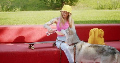 有关伴侣, 公园, 刺青的免费素材视频