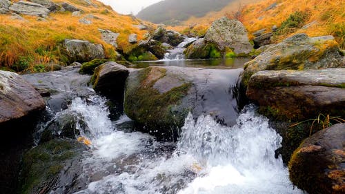 有关天性, 小, 户外的免费素材视频