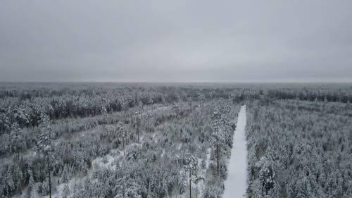 有关冬季, 地平线, 天性的免费素材视频