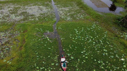 有关一对, 一小群人, 女人的免费素材视频