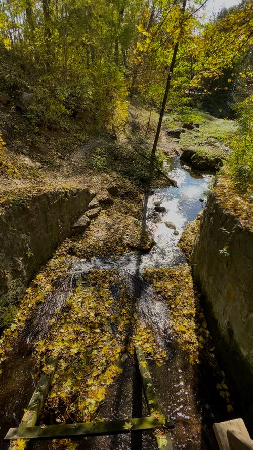 有关天性, 户外, 时间流逝的免费素材视频
