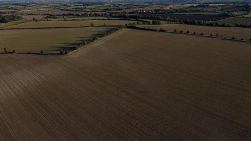 有关农村的场景, 增长, 户外的免费素材视频