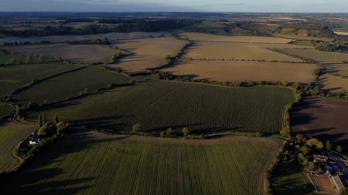 有关农村的场景, 增长, 户外的免费素材视频