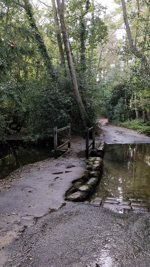 有关垂直视频, 户外, 摇摄的免费素材视频