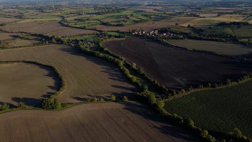 有关农村的场景, 增长, 户外的免费素材视频