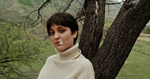 有关下, 倚, 口的免费素材视频