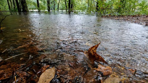 有关下雨, 地面, 地面射击的免费素材视频