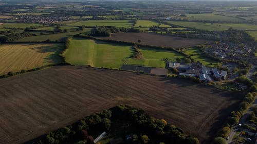有关农村的场景, 增长, 户外的免费素材视频