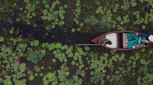 有关一小群人, 划船, 划艇的免费素材视频