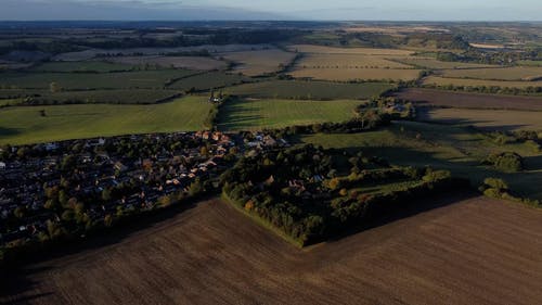 有关农村的场景, 增长, 户外的免费素材视频