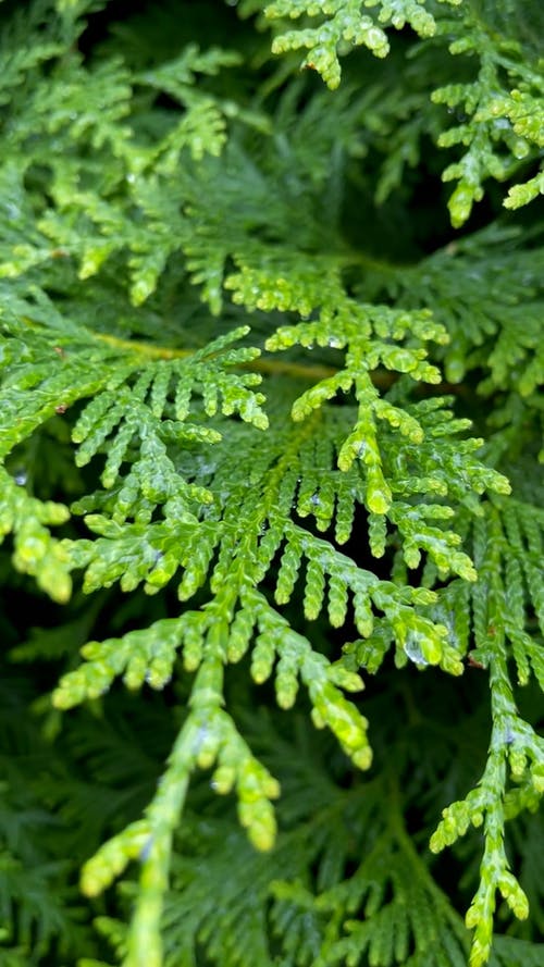 有关垂直视频, 工厂, 户外的免费素材视频