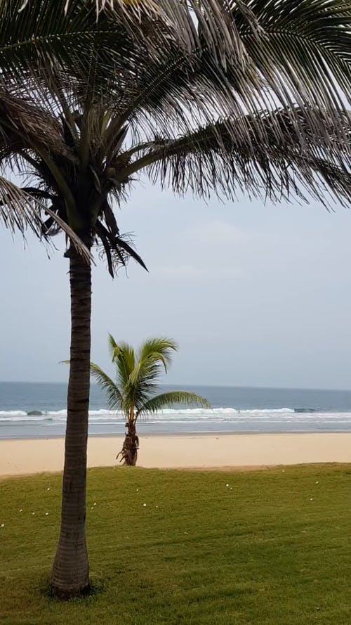 有关地平线, 垂直视频, 宁静的免费素材视频