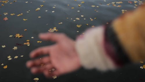 有关人, 到达, 天性的免费素材视频